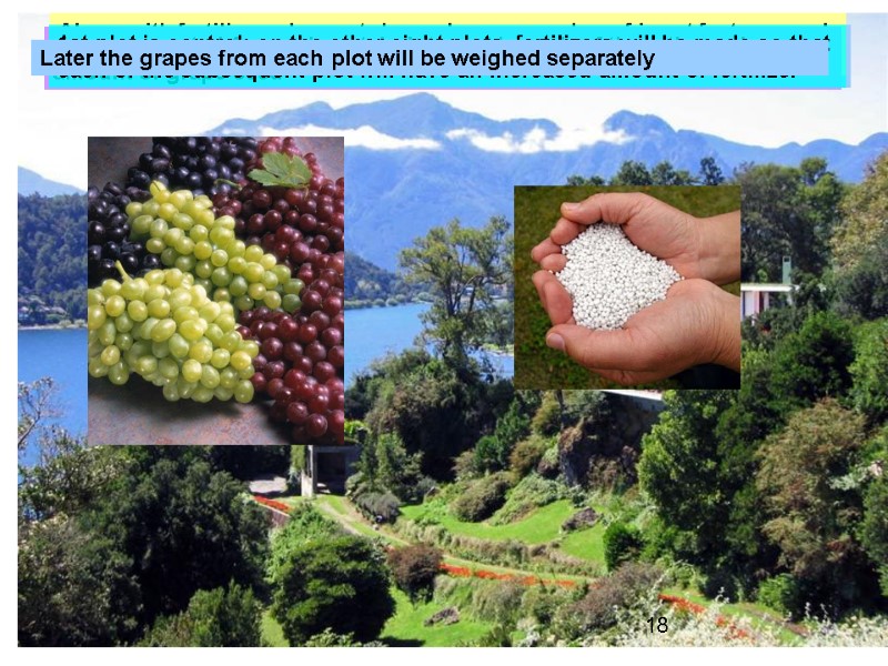 Чили – самая южная в мире страна, находится в Южной Америке и простирается вдоль Чили – самая южная в мире страна, находится в Южной Америке и простирается вдоль